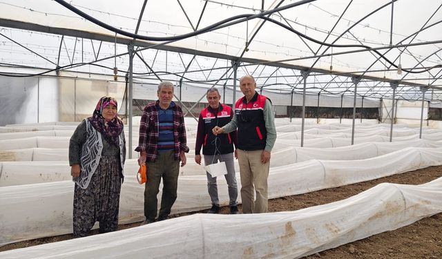 Tarım Müdürlüğü Domates Güvesine Karşı Harekete Geçti