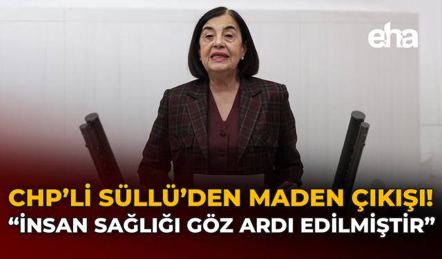 CHP'li Süllü'den Maden Tepksi: "İnsan Sağlığı Göz Ardı Edilmiştir"