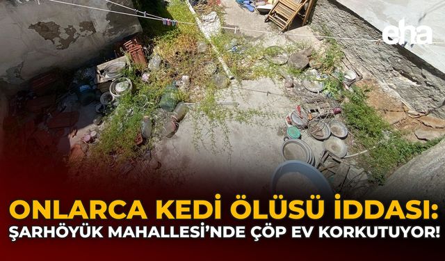 Onlarca Kedi Ölüsü İddiası: Şarhöyük Mahallesi'ndeki Çöp Ev Korkutuyor!