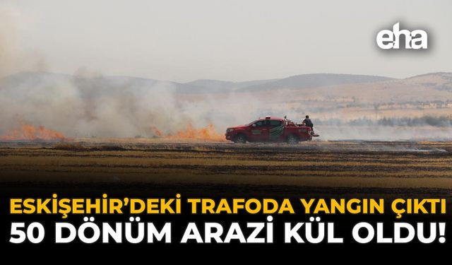 Eskişehir'deki Trafoda Yangın Çıktı: 50 Dönüm Arazi Kül Oldu!