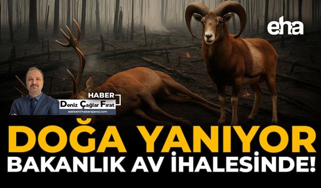 Doğa Yanıyor, Bakanlık Av İhalesinde
