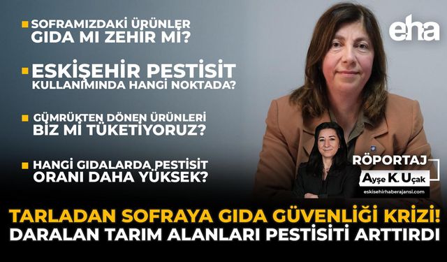 Tarladan Sofraya Gıda Güvenliği Krizi: Daralan Tarım Alanları Pestisiti Artırdı!