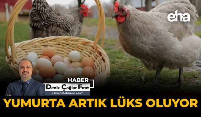 Yumurta Artık Lüks Oluyor