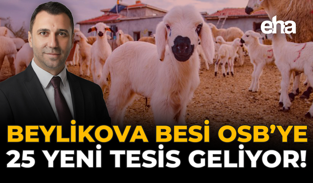Beylikova Besi OSB’ye 25 Yeni Tesis Geliyor!