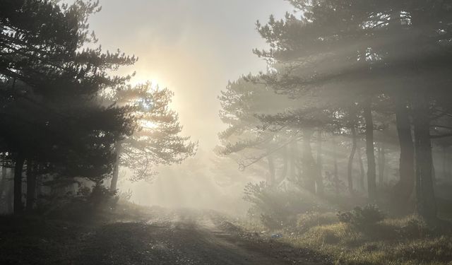 Eskişehir'de Çekilen O Görüntüler Hayran Bıraktı!