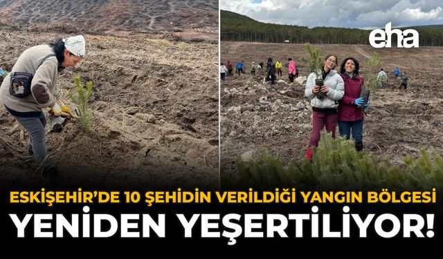 Eskişehir’de 10 Şehidin Verildiği Yangın Bölgesi Yeniden Yeşertiliyor!