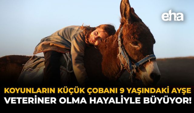 Koyunların Küçük Çobanı 9 Yaşındaki Ayşe, Veteriner Olma Hayaliyle Büyüyor!