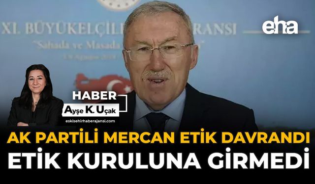 AK Partili Mercan Etik Davrandı, Etik Kuruluna Girmedi