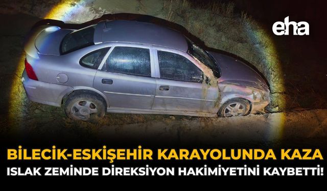 Bilecik-Eskişehir Karayolunda Kaza: Islak Zeminde Direksiyon Hakimiyetini Kaybetti!