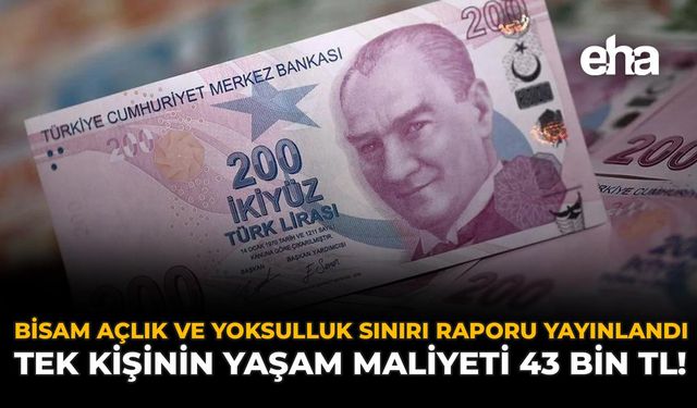 BİSAM Açlık ve Yoksulluk Sınırı Raporu Yayınlandı: Tek Kişinin Yaşam Maliyeti 43 Bin TL!