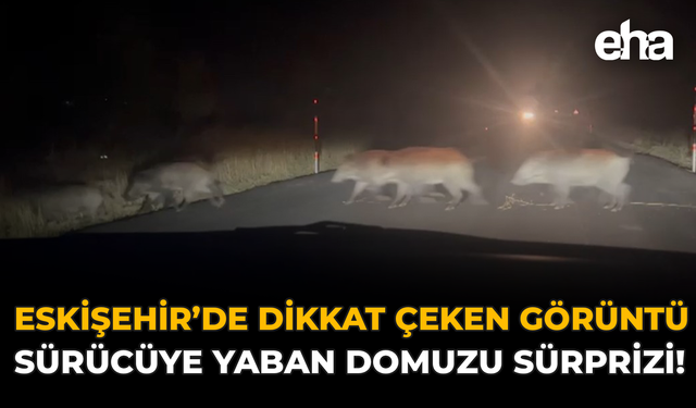 Eskişehir’in Hafızasına Sahip Çıkma Çağrısı: Arslan’dan Büyükerşen'e Destek!