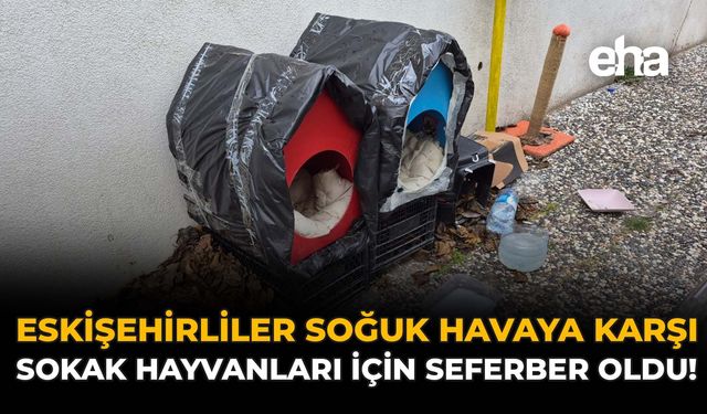 Eskişehirliler Soğuk Havaya Karşı Sokak Hayvanları İçin Seferber Oldu!