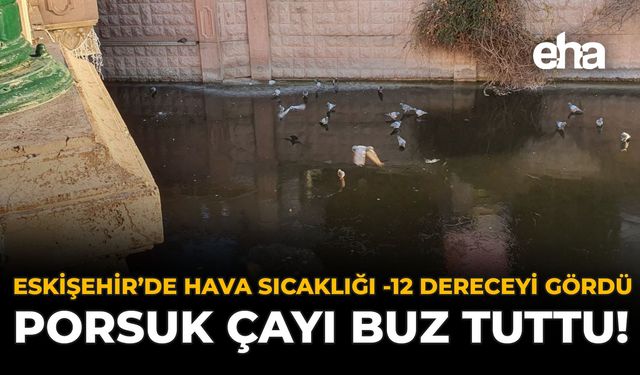 Eskişehir'de Hava Sıcaklığı -12 Dereceyi Gördü: Porsuk Çayı Buz Tuttu!