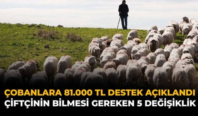 Çobanlara 81.000 TL Destek Açıklandı: Çiftçinin Bilmesi Gereken 5 Değişiklik