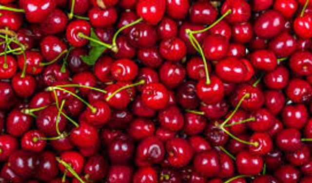 Sezonun İlk Kirazı Rekor Fiyatla Geldi: Kilogramı 6 Bin TL