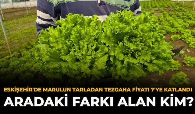 Eskişehir'de Marulun Tarladan Tezgaha Fiyatı 7'ye Katlandı: Aradaki Farkı Alan Kim?
