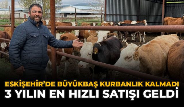 Eskişehir'de Büyükbaş Kurbanlık Kalmadı: 3 Yılın En Hızlı Satışı Geldi
