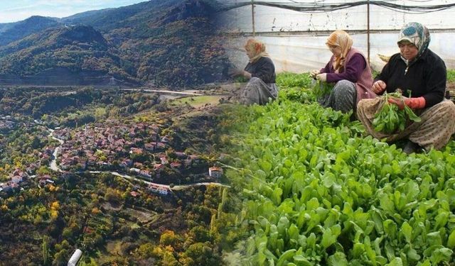 4 Milyon Kişiyi Tek Başına Sırtlıyor: Akdeniz Sanılan Bölge Sakarya Vadisinde Saklı