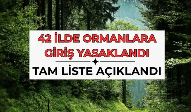 Hangi İllerde Ormanlara Giriş Yasak? Liste 42'ye Çıktı