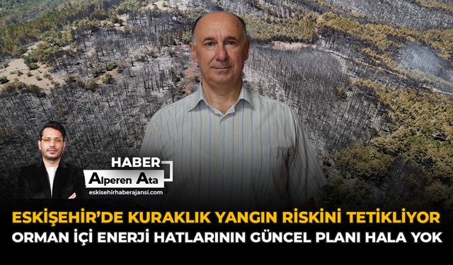 Eskişehir’de Kuraklık Yangın Riskini Tetikliyor: Orman İçi Enerji Hatlarının Güncel Planı Hala Yok!