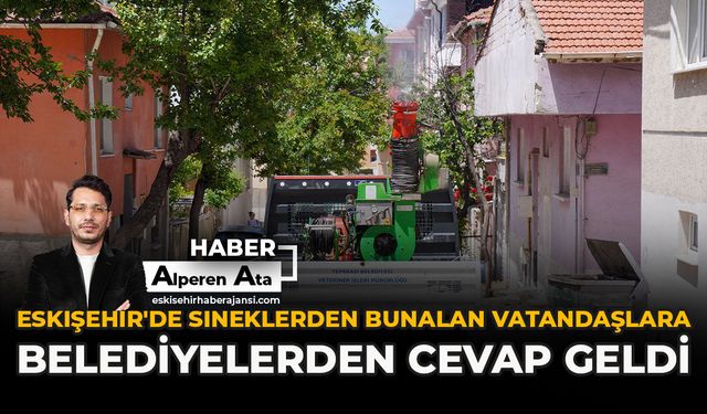 Eskişehir'de Sineklerden Bunalan Vatandaşlara Belediyelerden Cevap Geldi