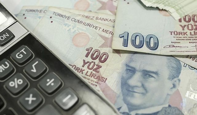 Vergi Ödemelerinde Riskli Listeye Düşenler Olacak: Yeni Platform Tanıtıldı