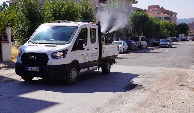 Tepebaşı Belediyesi Yaz Boyunca İlaçlama Çalışmalarına Devam Ediyor