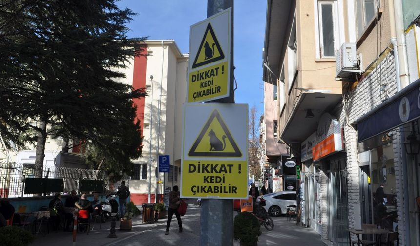 “Dikkat Kedi Çıkabilir!”