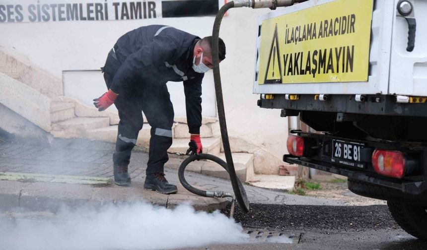 Odunpazarı'nda Kışlak Mücadelesi