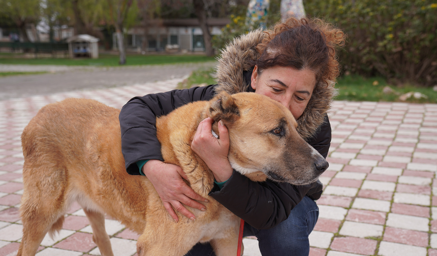 Tepebaşı Belediyesi’nden Yeni Bir Yuva Daha!