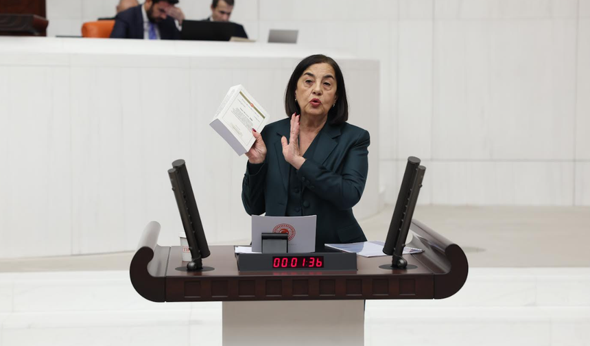 Vekil Süllü "Almanya’yı Kirletemeyen, Türkiye’yi Kirletebilecek!"
