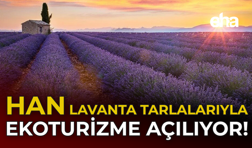 Han, lavanta tarlalarıyla ekoturizme açılıyor!