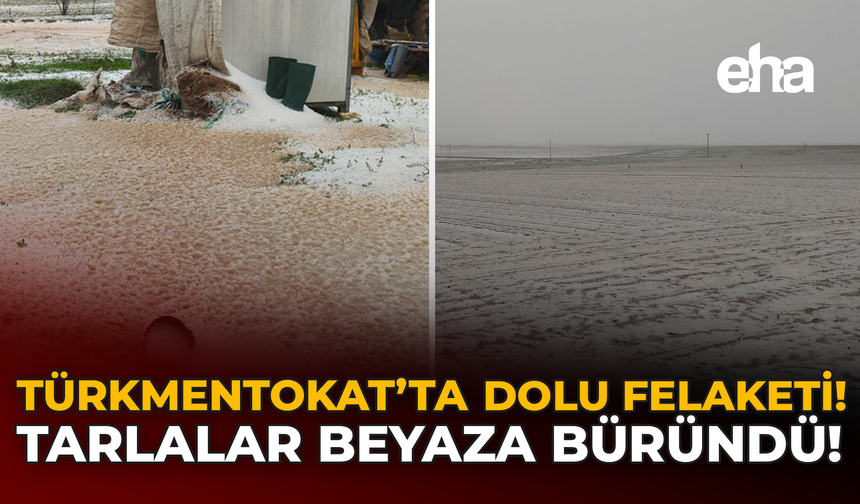 Türkmentokat'ta Dolu Felaketi: Tarlalar Beyaza Büründü!