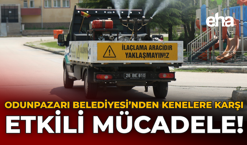 Odunpazarı Belediyesi’nden Kenelere Karşı Yoğun Mücadele!