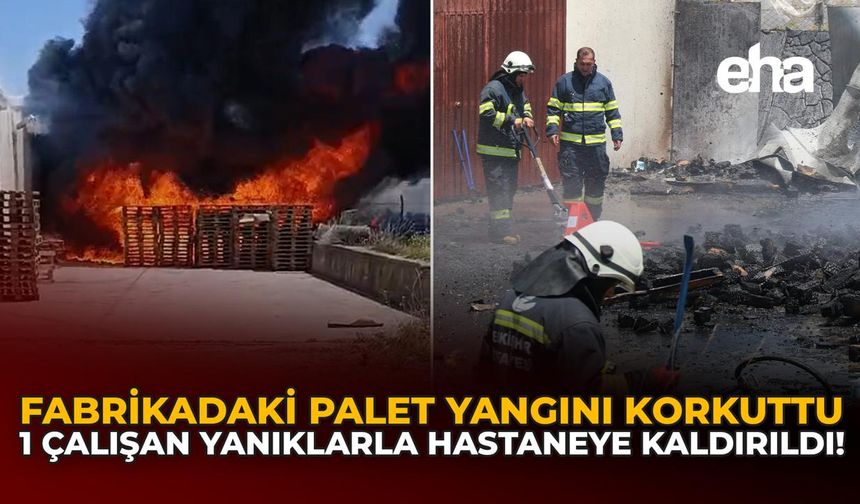 Fabrikadaki Palet Yangını Korkuttu: 1 Çalışan Yanıklarla Hastaneye Kaldırıldı!