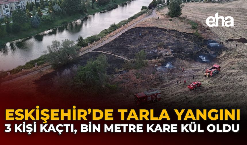 Eskişehir’de Tarla Yangını: 3 Kişi Kaçtı, Bin Metrekare Kül Oldu
