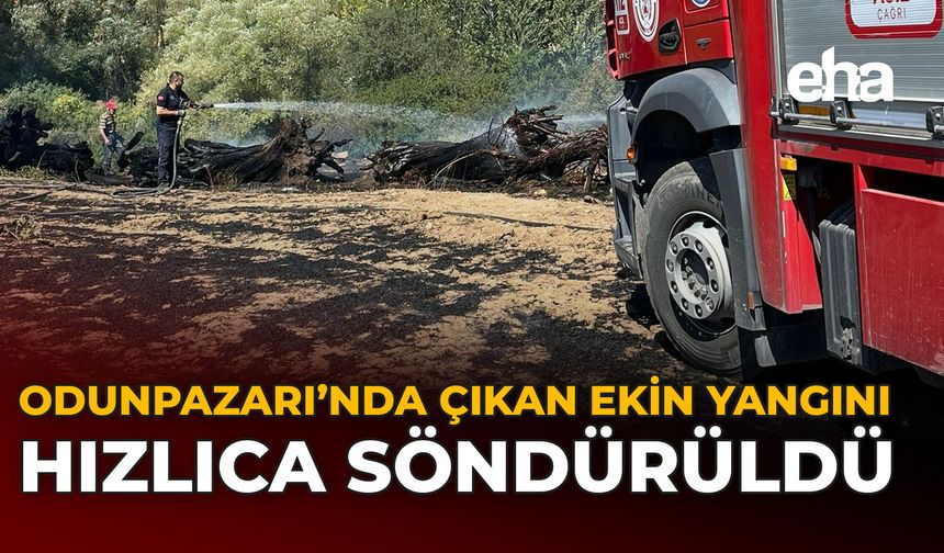 Odunpazarı’nda Çıkan Ekin Yangını Hızlıca Söndürüldü