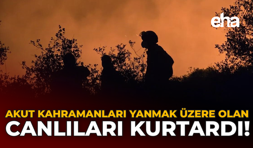AKUT Kahramanları Yanmak Üzere Olan Canları Kurtardı!