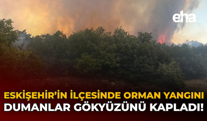 Eskişehir'in İlçesinde Orman Yangını: Dumanlar Gökyüzünü Kapladı!