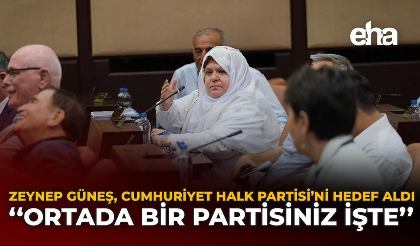 Zeynep Güneş, Cumhuriyet Halk Partisini Hedef Aldı: “Ortada Bir Partisiniz İşte”