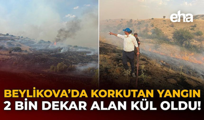 Beylikova'da Korkutan Yangın: 2 Bin Dekar Alan Kül Oldu!
