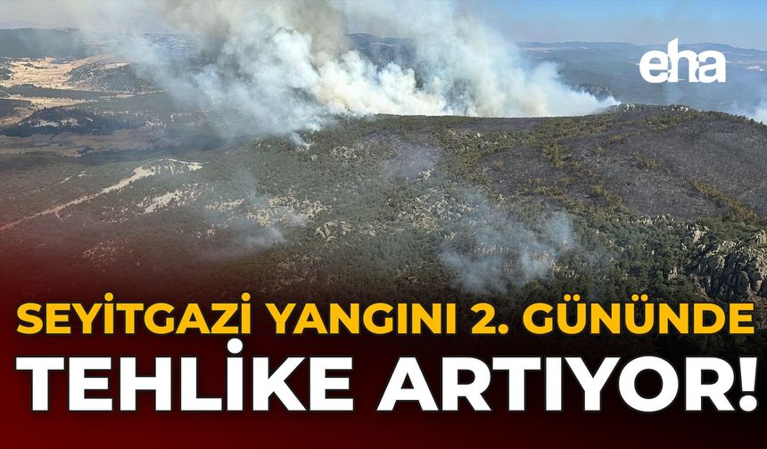 Seyitgazi Yangını 2. Gününde: Tehlike Artıyor!