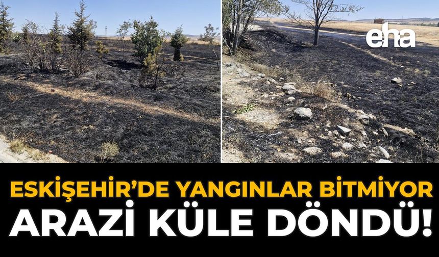 Eskişehir'de Yangınlar Bitmiyor: Arazi Küle Döndü!