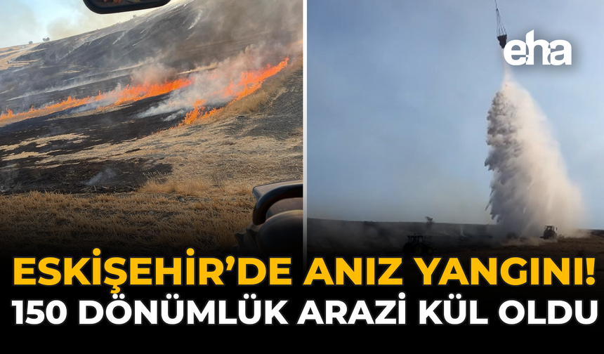 Eskişehir'de Anız Yangını: 150 Dönümlük Arazi Kül Oldu!