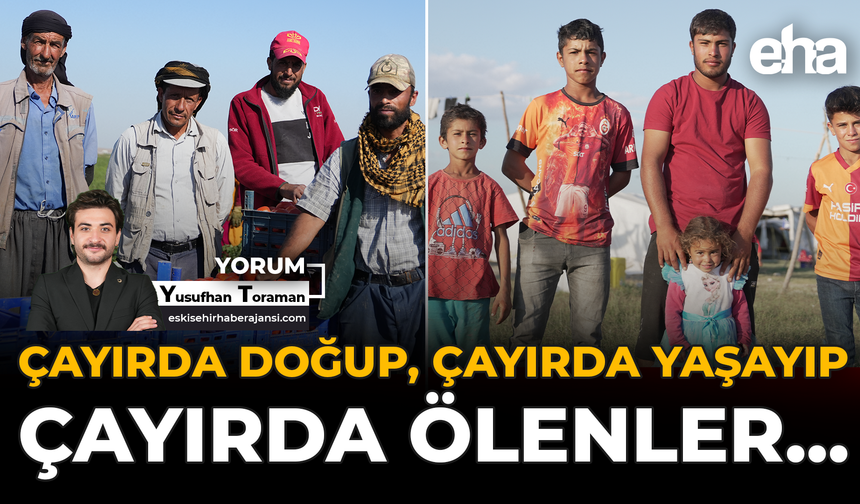 Çayırda Doğup, Çayırda Yaşayıp, Çayırda Ölenler…