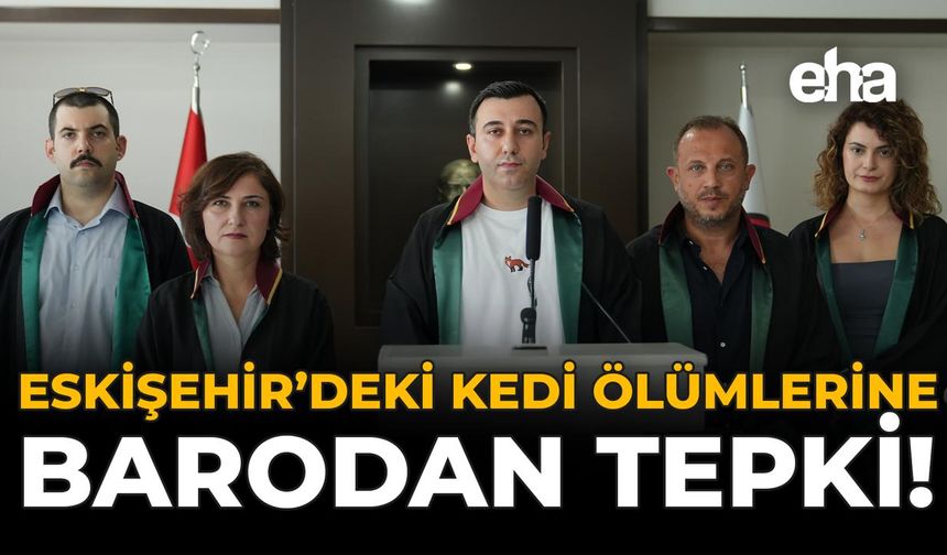Eskişehir'deki Kedi Ölümlerine Barodan Tepki!