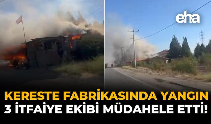 Kereste Fabrikasında Yangın: 3 İtfaiye Ekibi Müdahale Etti!