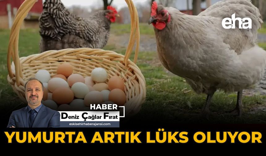 Yumurta Artık Lüks Oluyor
