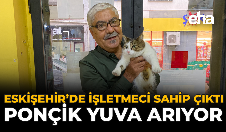 Eskişehir’de İşletmeci Sahip Çıktı, Ponçik Yuva Arıyor