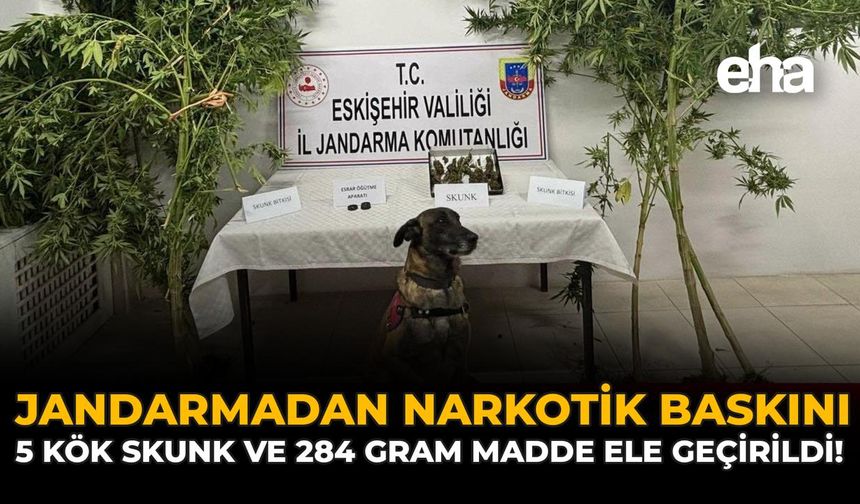 Jandarmadan Narkotik Baskını: 5 Kök Skunk ve 284 Gram Madde Ele Geçirildi!